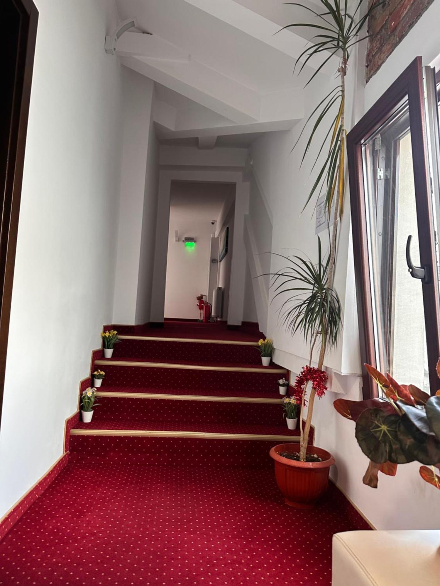 Pensiunea Sada Făgăraş エクステリア 写真